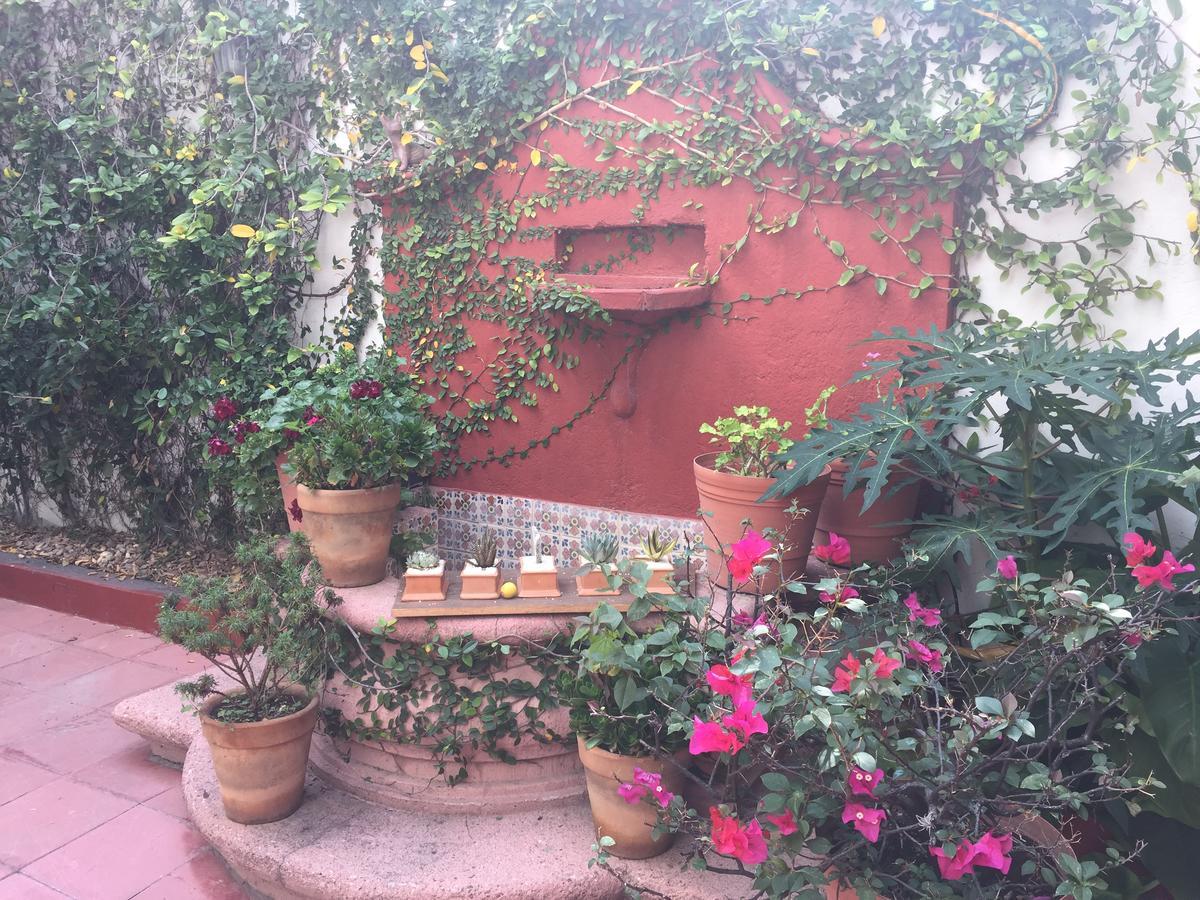Alcatraz Hostal San Miguel de Allende Exteriör bild